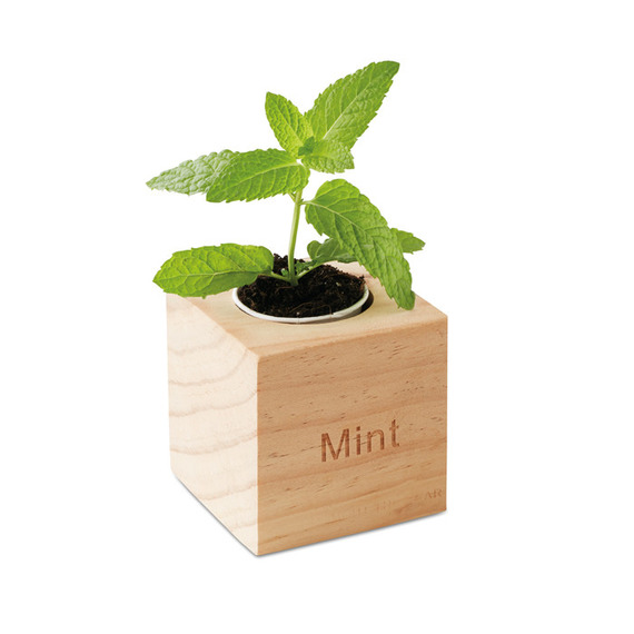 Pot en bois personnalisé avec graines de menthe Menta