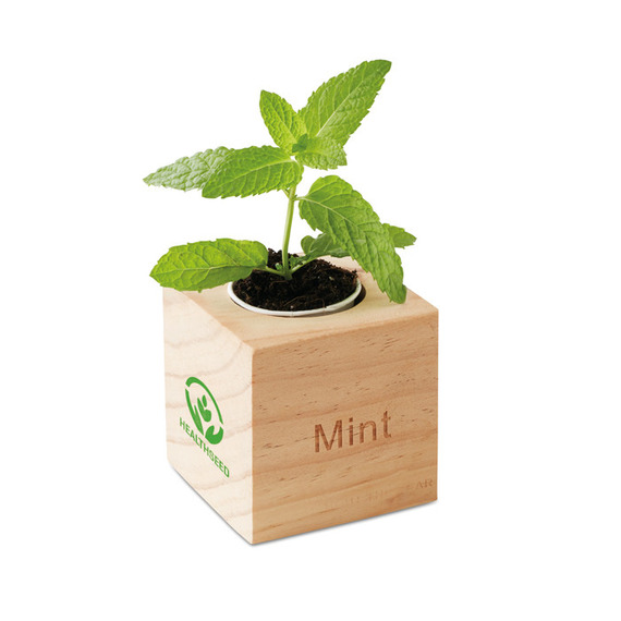 Pot en bois personnalisé avec graines de menthe Menta