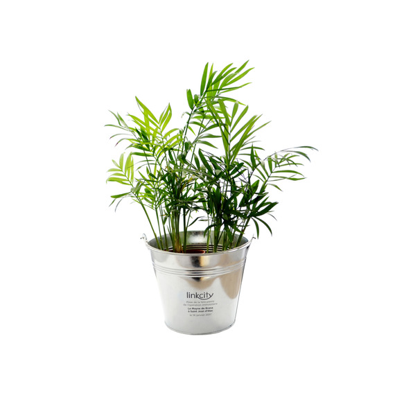 Grande Plante déco publicitaire - pot de 14/15 cm en zinc