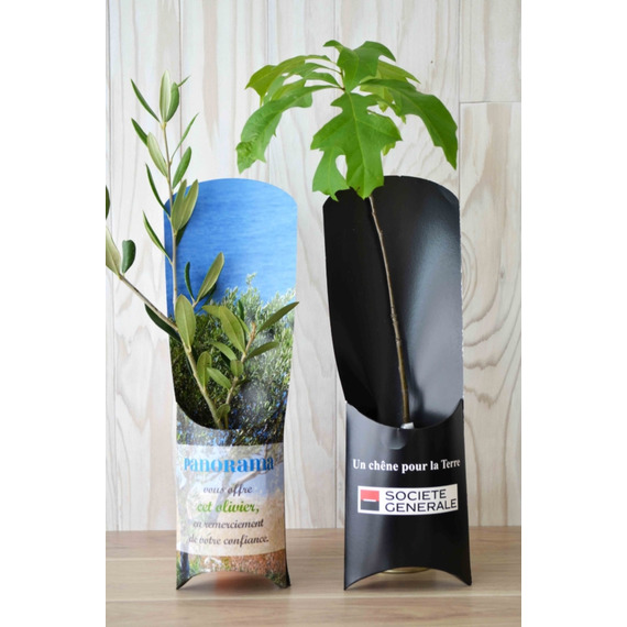 Etui publicitaire arbre - Plants