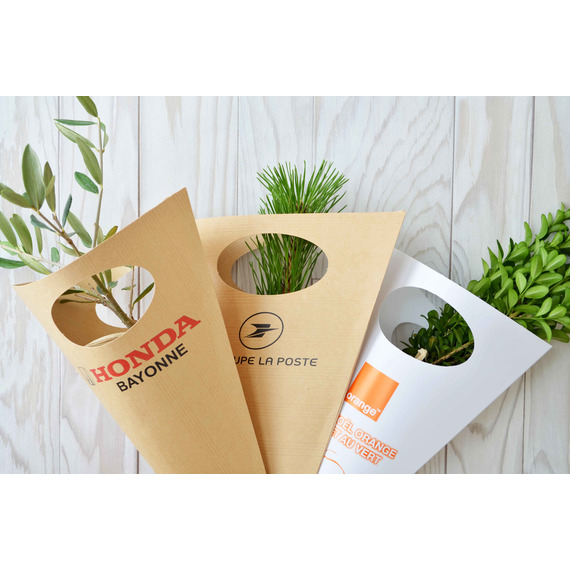 Cornet publicitaire Kraft pour Plants