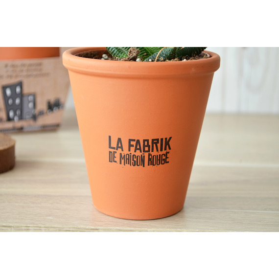 Kit publicitaire de plantation Terre cuite 10 cm