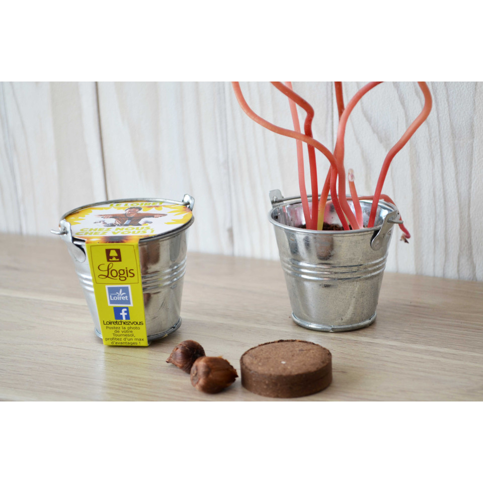 Kit publicitaire de semis - mini pot zinc 6 cm