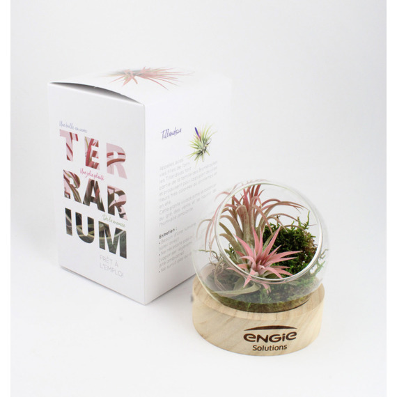 Terrarium publicitaire socle bois + vase