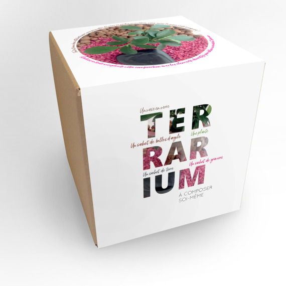 Terrarium publicitaire en Kit - Grand modèle Ficus Ginseng