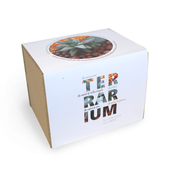 Terrarium publicitaire en Kit - Petit modèle plante dépolluante