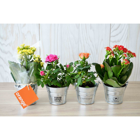 Mini plante fleurie en pot zinc 6 cm publicitaire