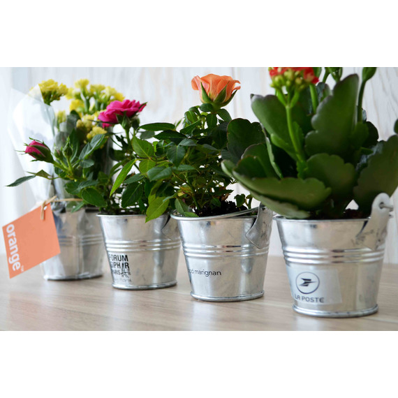 Mini plante fleurie en pot zinc 6 cm publicitaire