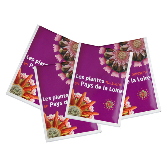 Sachet publicitaire de graines 82x110 mm 1 coul