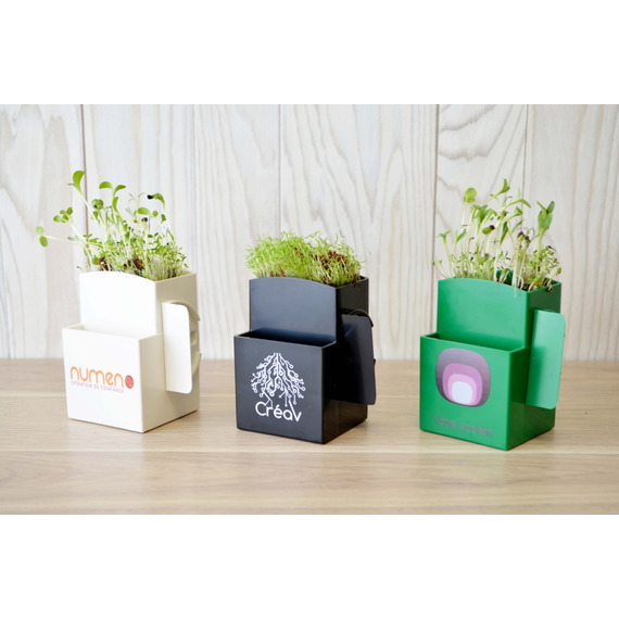 La Vegetal-box publicitaire Kit graines