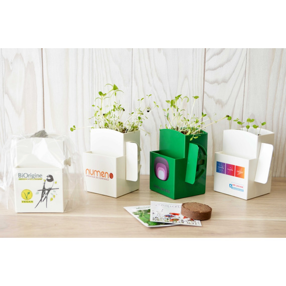 La Vegetal-box publicitaire Kit graines