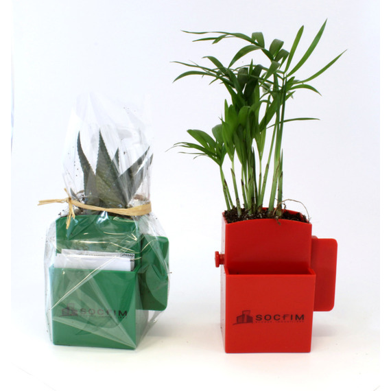 La Végétal-Box publicitaire avec plante dépolluante