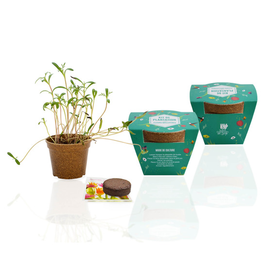 Kit publicitaire Jardin Ecolo - pot biodégradable  paille de riz