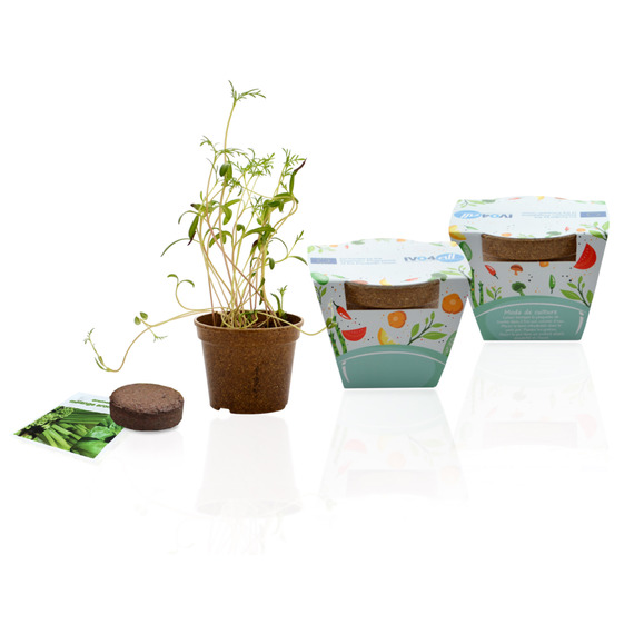 Kit publicitaire Jardin Ecolo - pot biodégradable  paille de riz