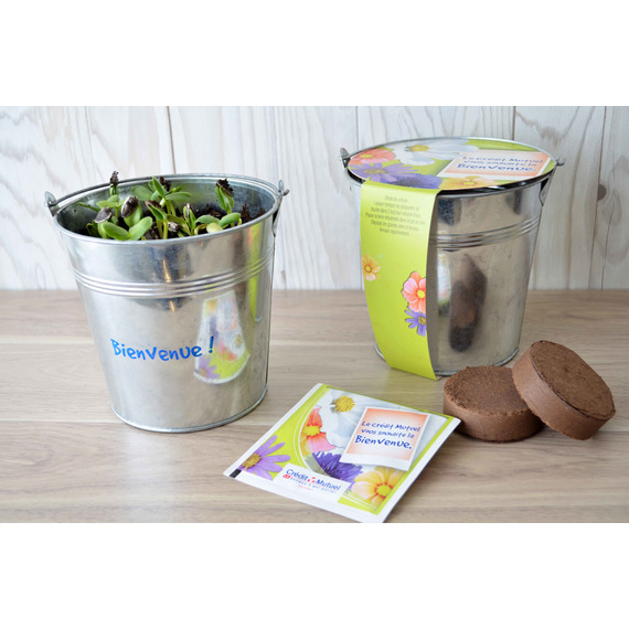 Kit publicitaire de semis - pot zinc 12 cm