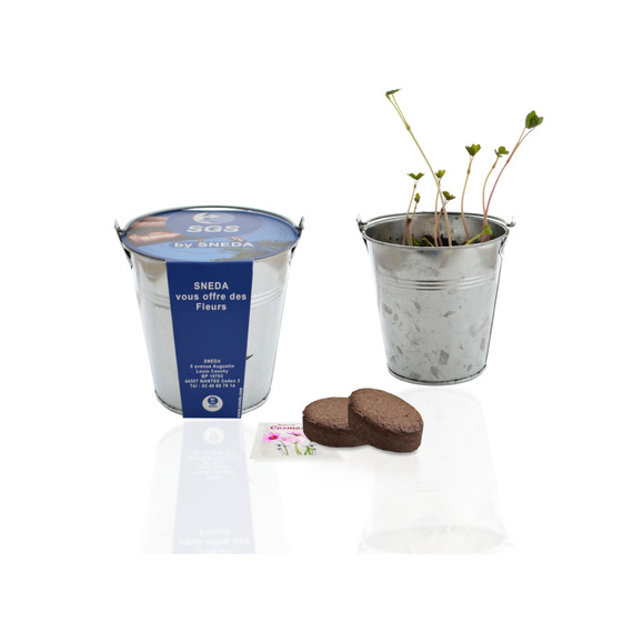 Kit publicitaire de semis - pot zinc 10 cm