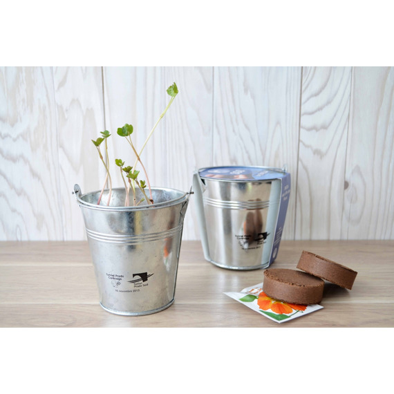 Kit publicitaire de semis - pot zinc 10 cm