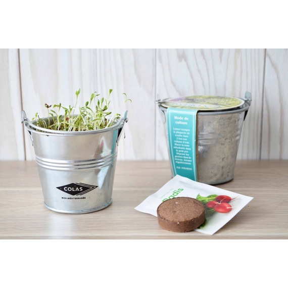 Kit publicitaire de semis - mini pot zinc 8 cm