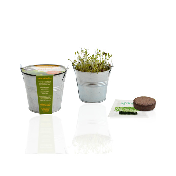 Kit publicitaire de semis - mini pot zinc 8 cm