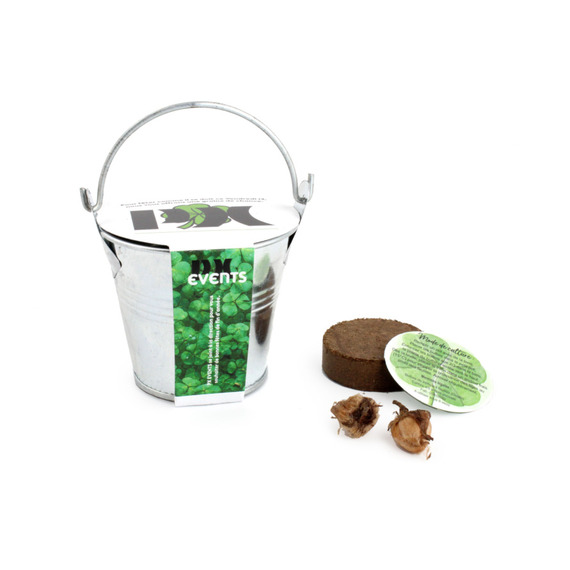 Kit publicitaire de semis - mini pot zinc 6 cm