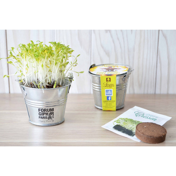 Kit publicitaire de semis - mini pot zinc 6 cm