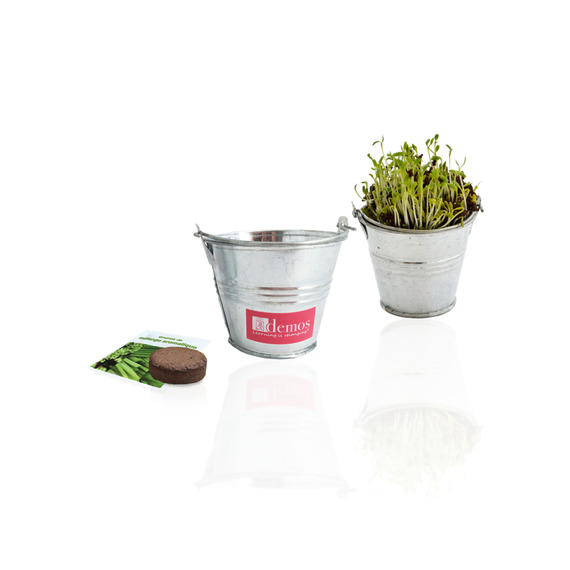 Kit publicitaire de semis - mini pot zinc 6 cm