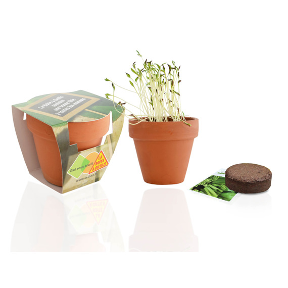 Kit publicitaire de plantation Terre cuite 9 cm