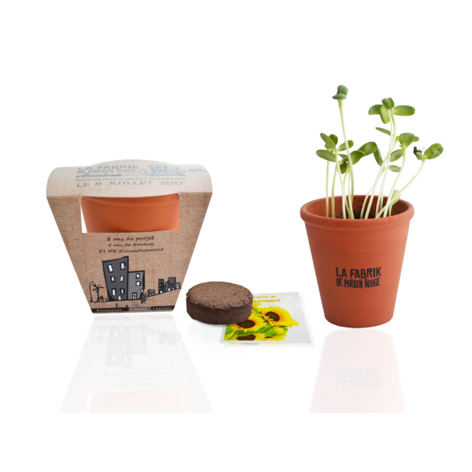 Kit publicitaire de plantation Terre cuite 10 cm