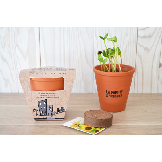 Kit publicitaire de plantation Terre cuite 10 cm