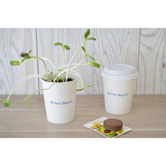 Kit publicitaire de plantation Pot Carton - 6 cm