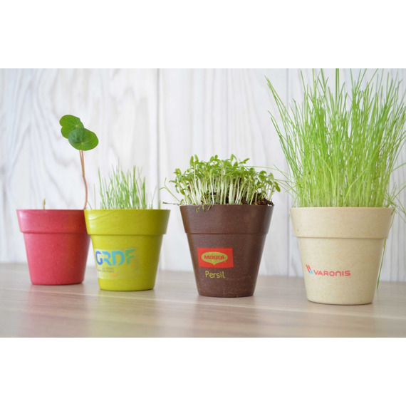 Kit publicitaire de plantation Pot Biodégradable Bambou