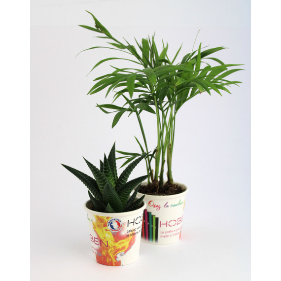 Petit pot carton plante publicitaire