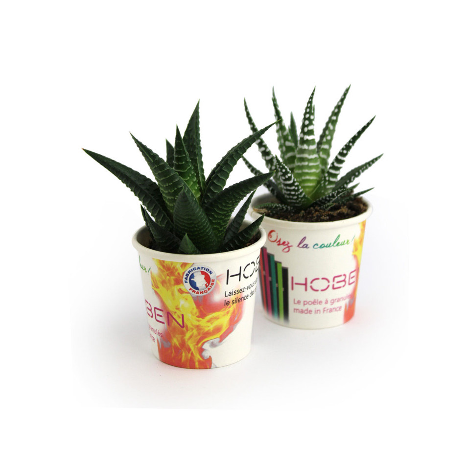 Petit pot carton plante publicitaire