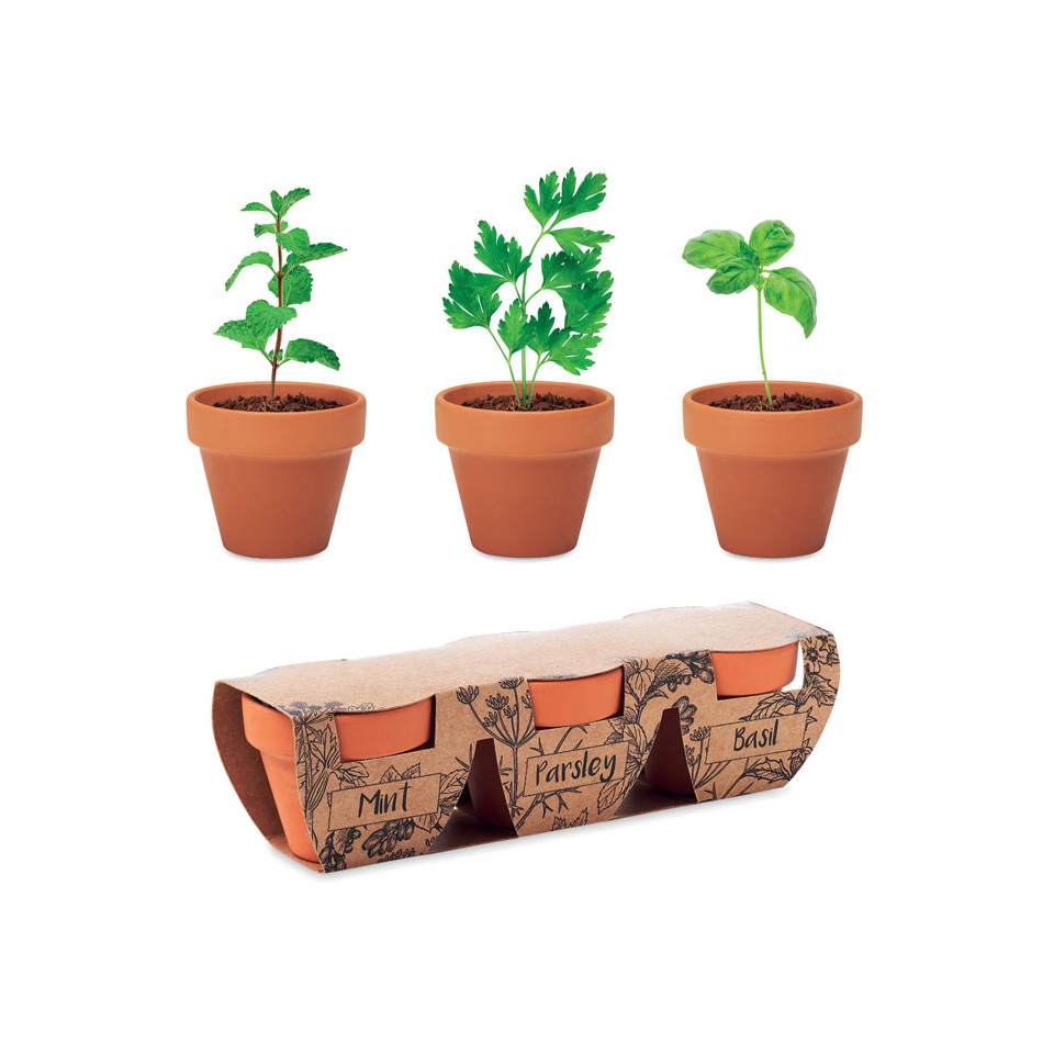 Ensemble de 3 pots en terre cuite personnalisable