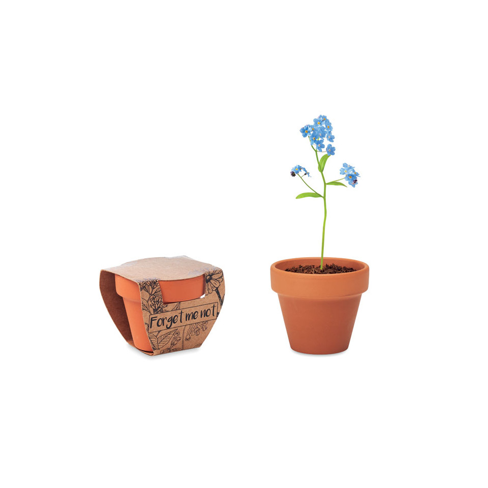 Petit pot en terre cuite publicitaire contenant des graines de myosotis