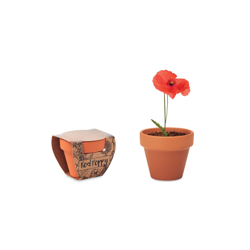 Petit pot en terre cuite publicitaire contenant des graines de coquelicot