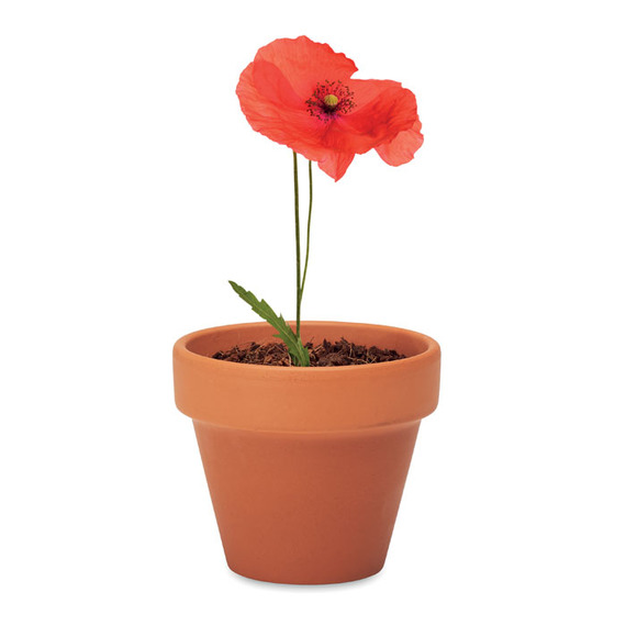 Petit pot en terre cuite publicitaire contenant des graines de coquelicot