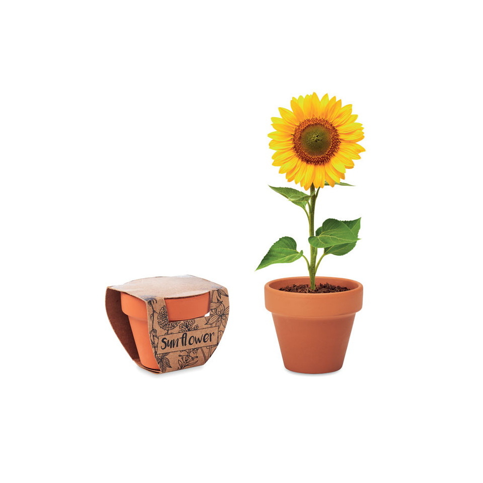 Petit pot en terre cuite publicitaire contenant des graines de tournesol