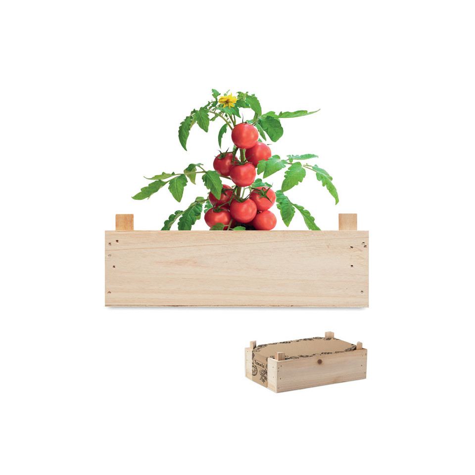 Kit de culture de tomates personnalisable dans une caisse en bois Made in Europe