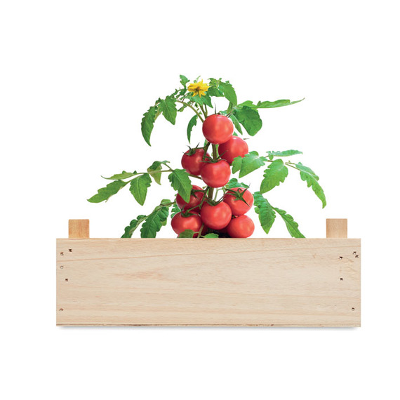 Kit de culture de tomates personnalisable dans une caisse en bois Made in Europe