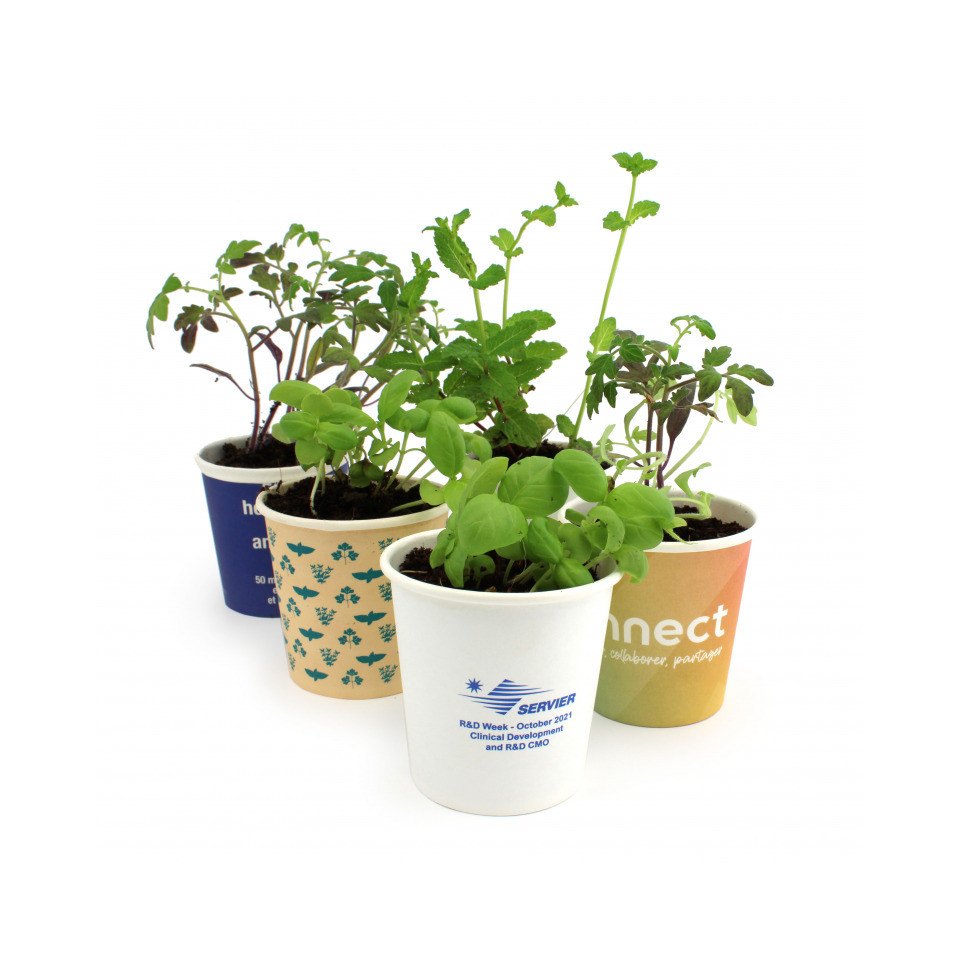 Kit publicitaire de plantation Pot Carton - 6 cm