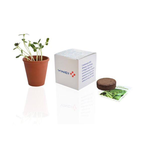 Kit de plantation publicitaire avec graines en pot terre cuite 10 cm