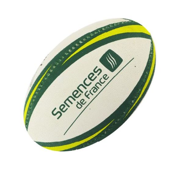 Ballon de rugby personnalisable loisir taille 5 