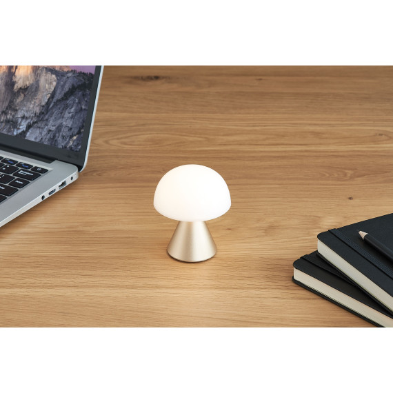 Mini  lampe LED publicitaire