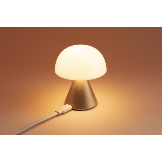 Mini  lampe LED publicitaire