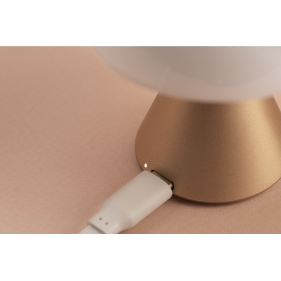 Mini  lampe LED publicitaire