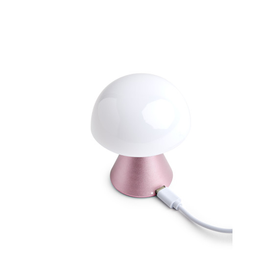 Mini  lampe LED publicitaire