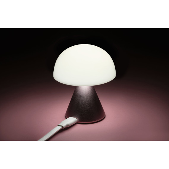 Mini  lampe LED publicitaire