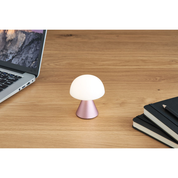 Mini  lampe LED publicitaire