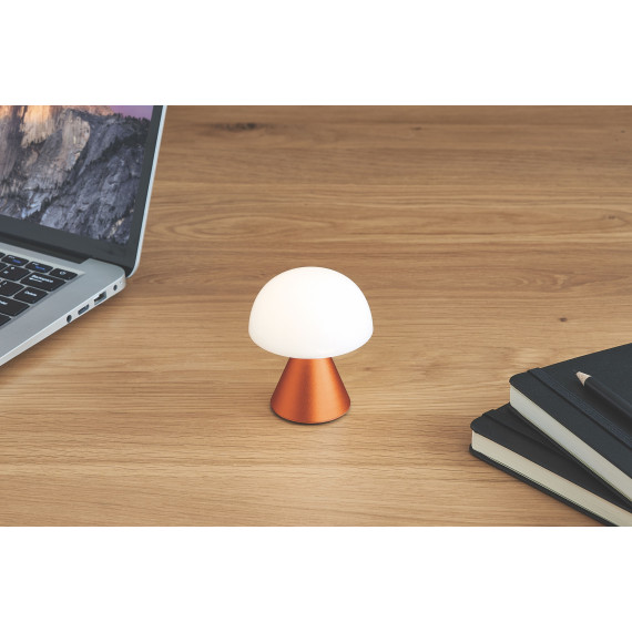 Mini  lampe LED publicitaire